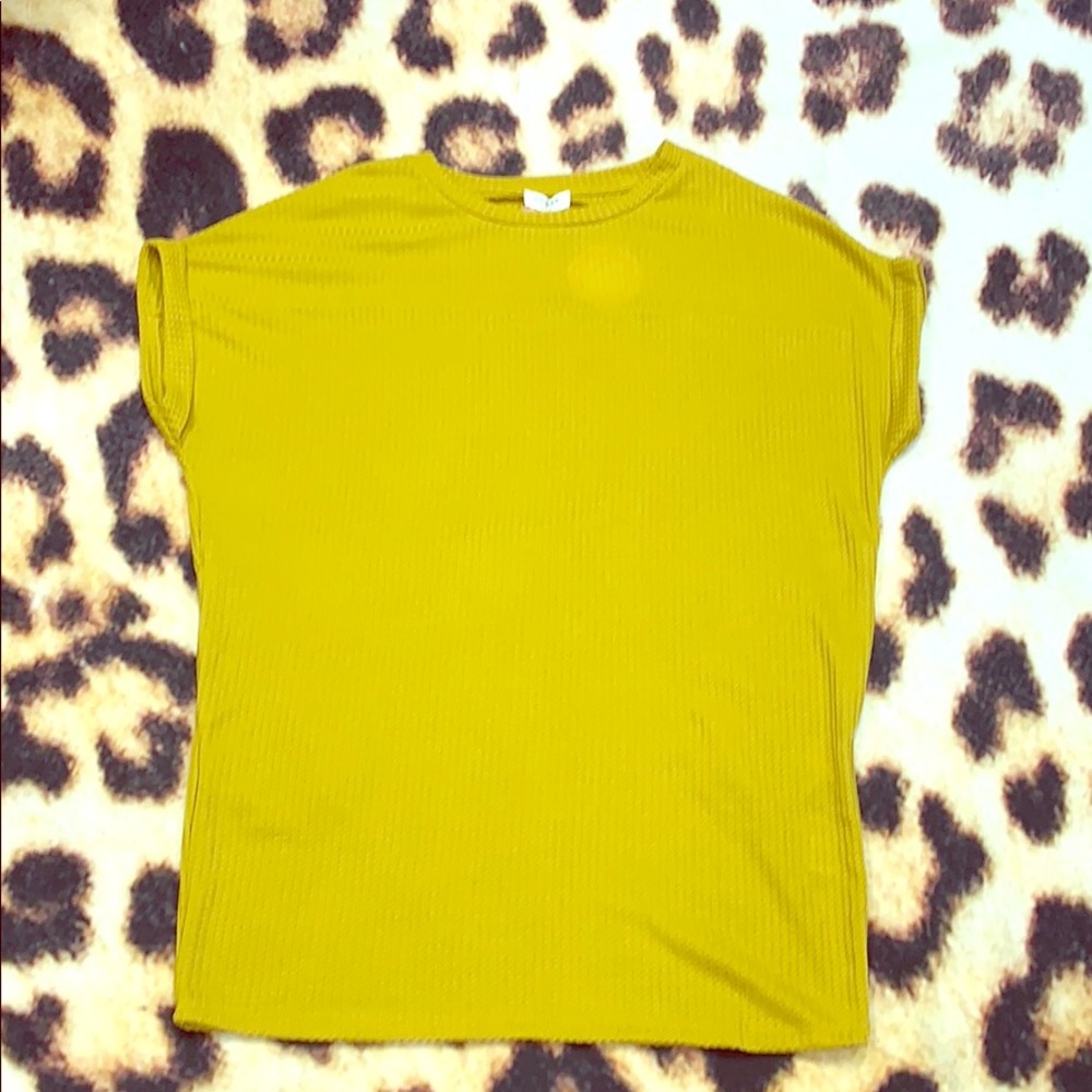 Tunic